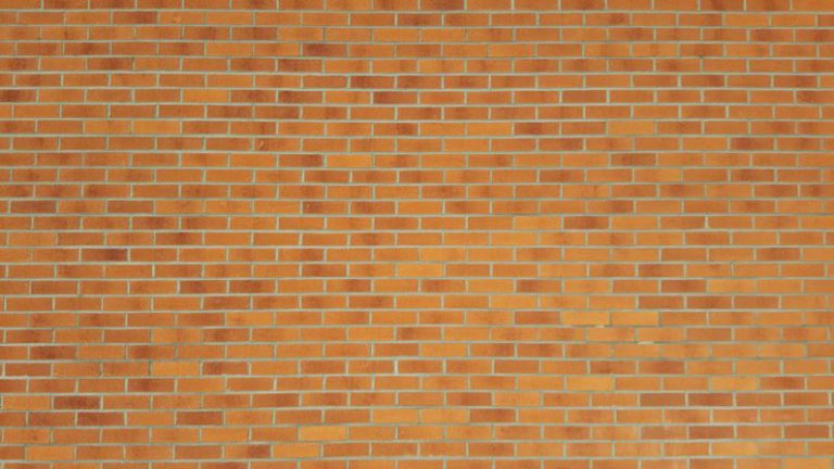 Carob Tea Brown - brown bricked wall