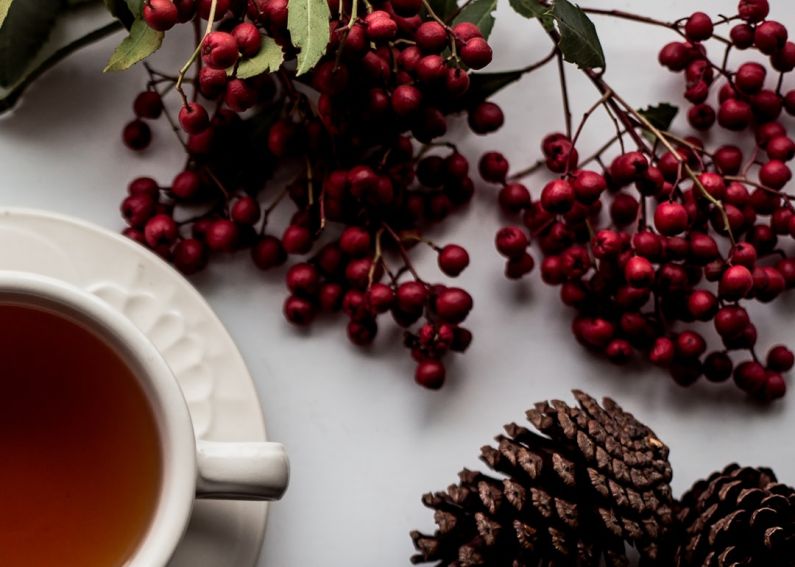 Tea Steeping Chart - red cherry on white surface