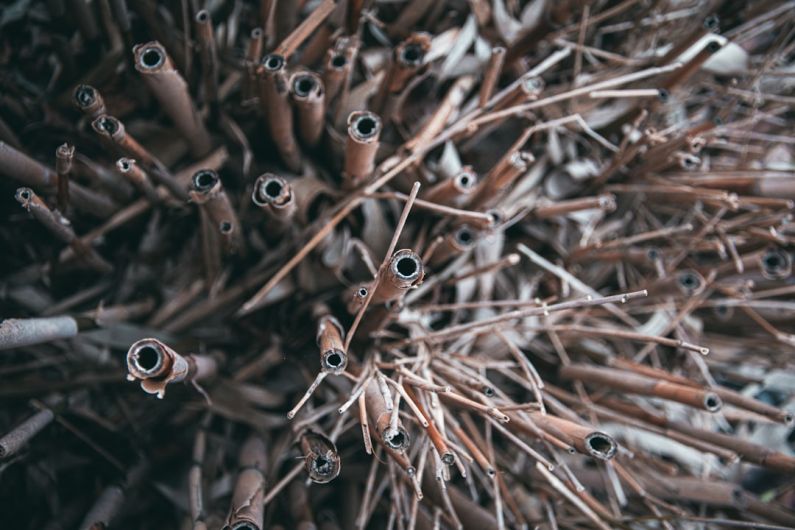 Yellow Tea Bowl - a close up of a bunch of sticks and needles