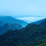 Taiwan Tea Mountains - green mountains under white sky during daytime