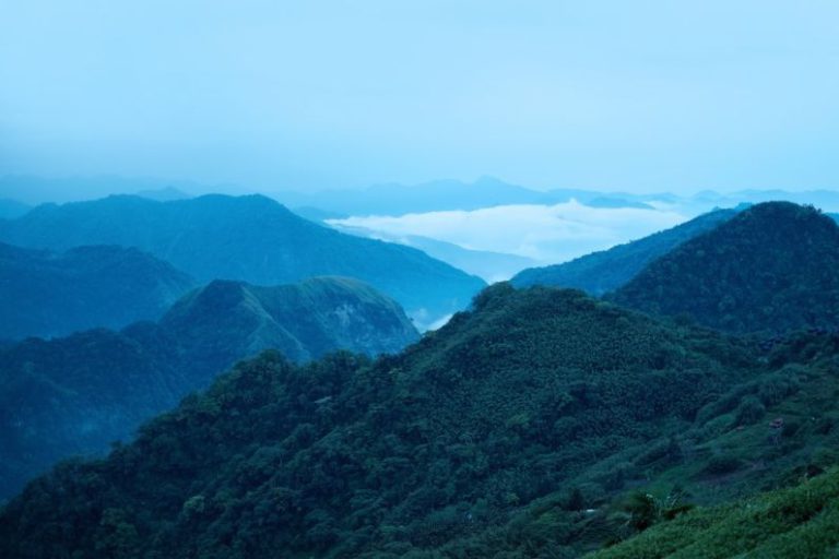Taiwan Tea Mountains - green mountains under white sky during daytime